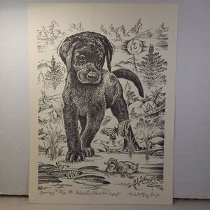 Paul Anthony Lee Print 85 Adirondack Black Lab Puppy Drawing #25/28 Cottagecore